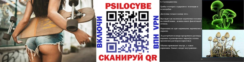 что такое   Палласовка  Псилоцибиновые грибы Psilocybe 